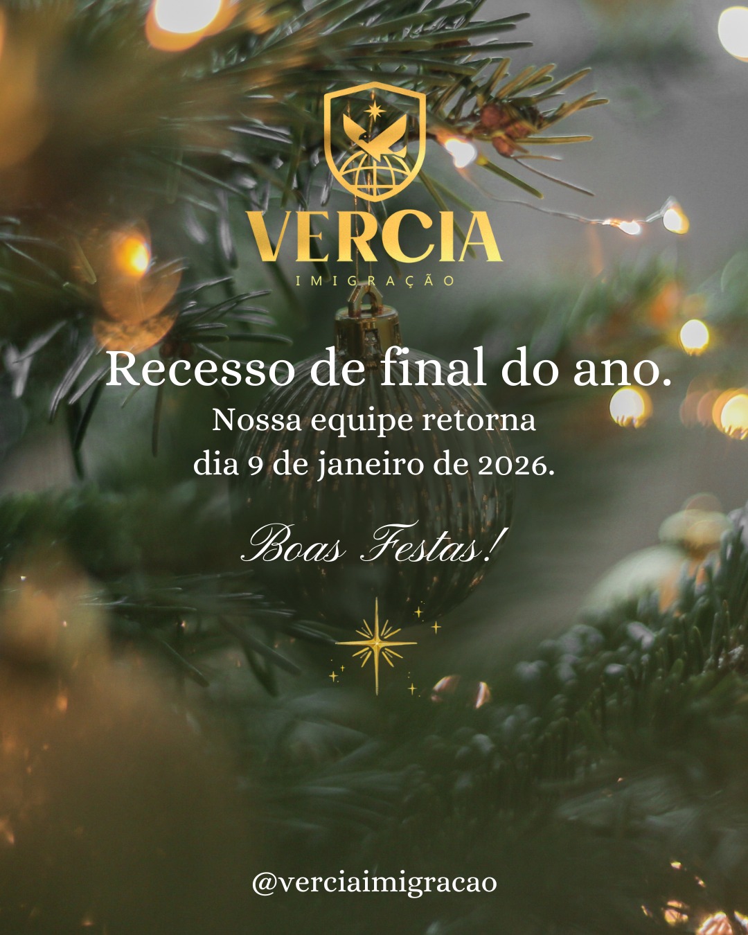 Encerramos o ano com gratidão e... - Vercia Imigracao | Facebook