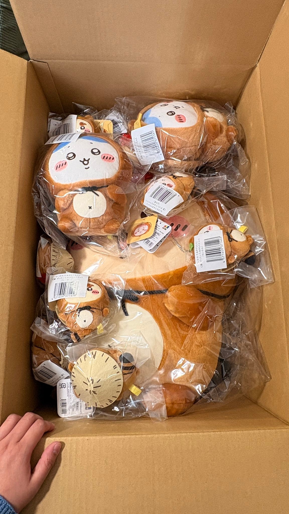 Chiikawa tanuki plush toys arrived, considering selling extras