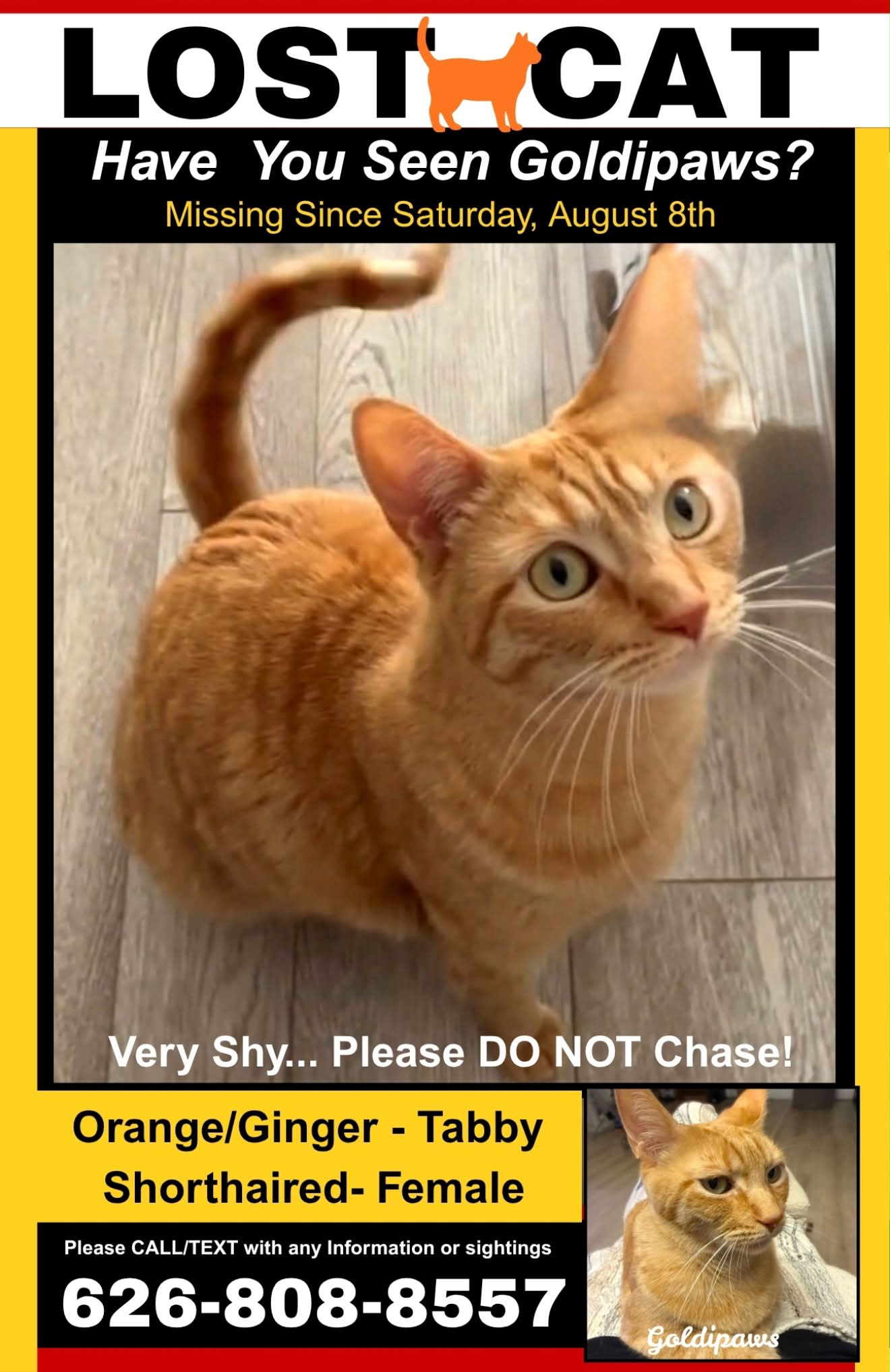 Missing orange cat in Yucca Valley, CA