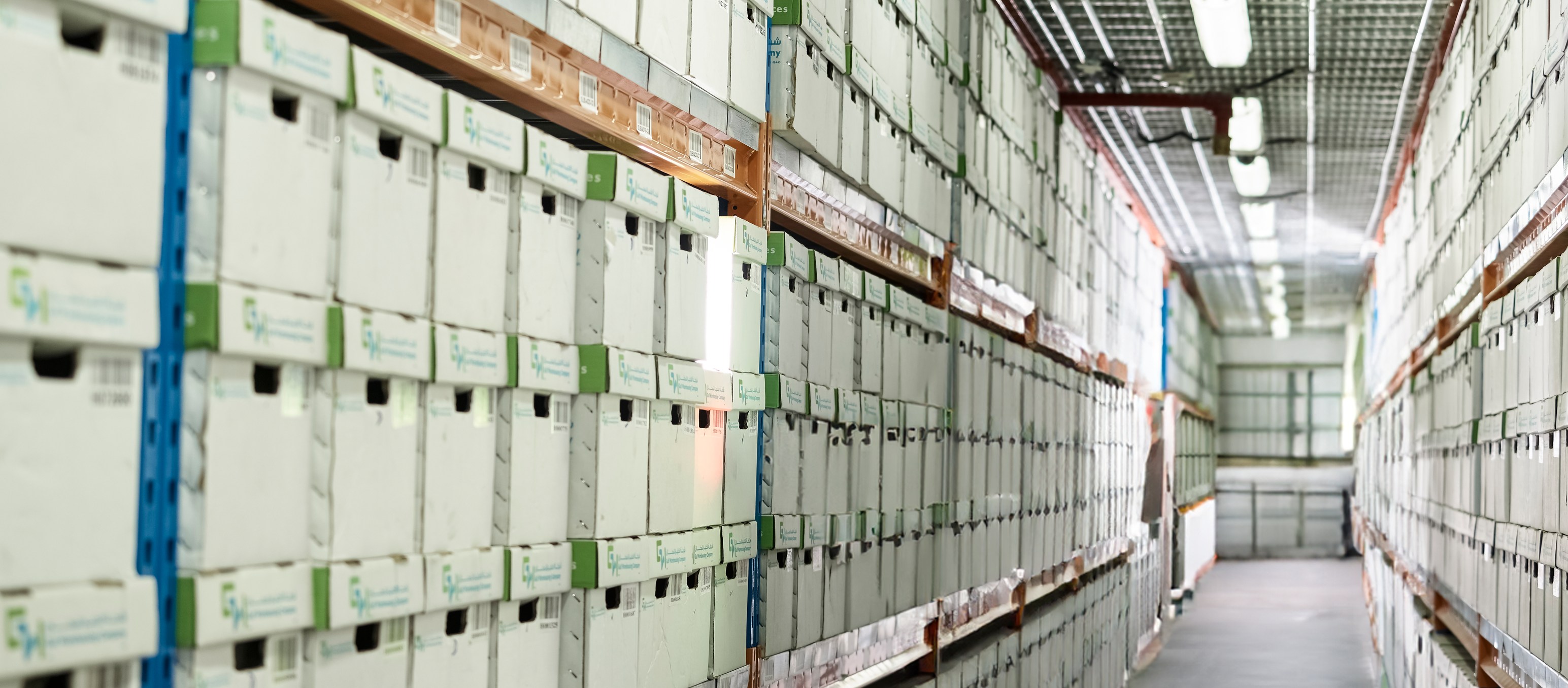 Docusafe Solutions