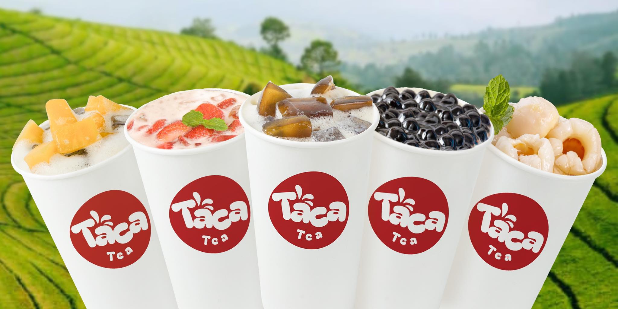 Taca Tea | Ho Chi Minh City