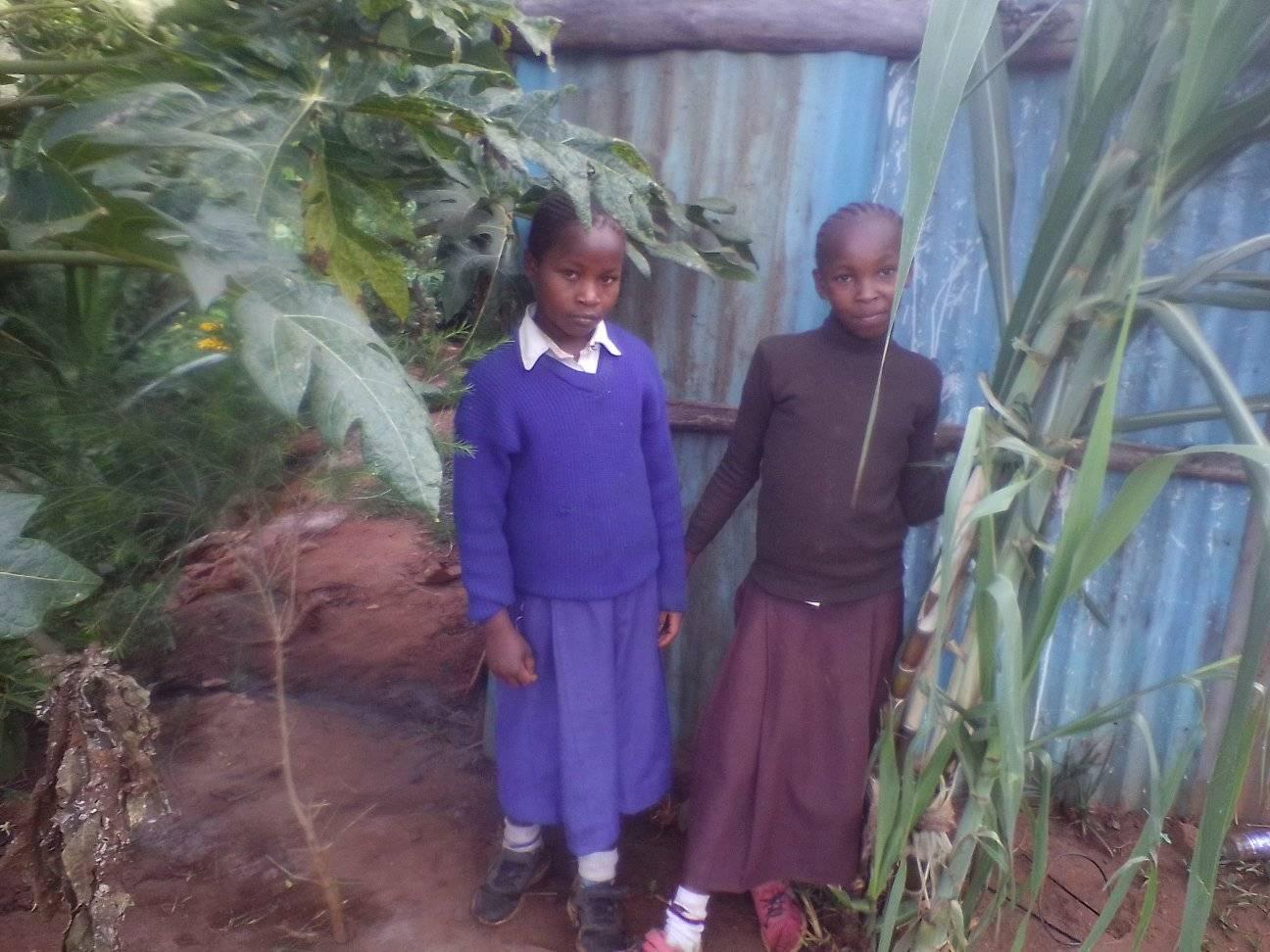 Wambua Mutiso