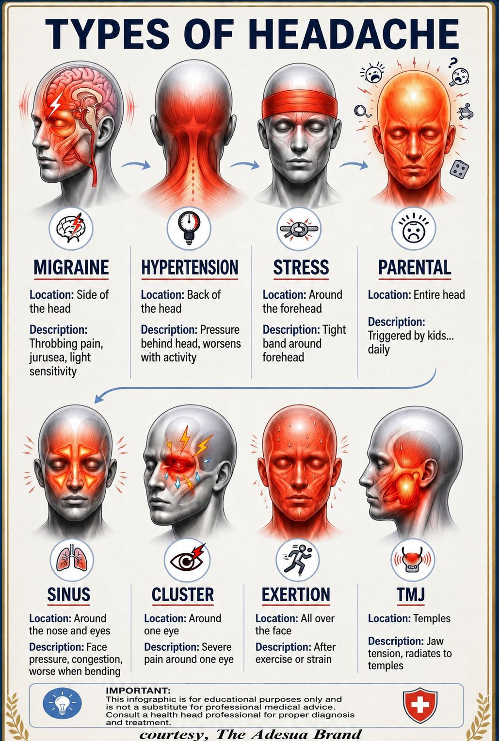 caffeine withdrawal migraine acetyl l-carnitine What are the types of headaches in myalgic encephalomyelitis? Glutathione & Vitamin C General Wellness Support Flavor:Sour Kids Candy