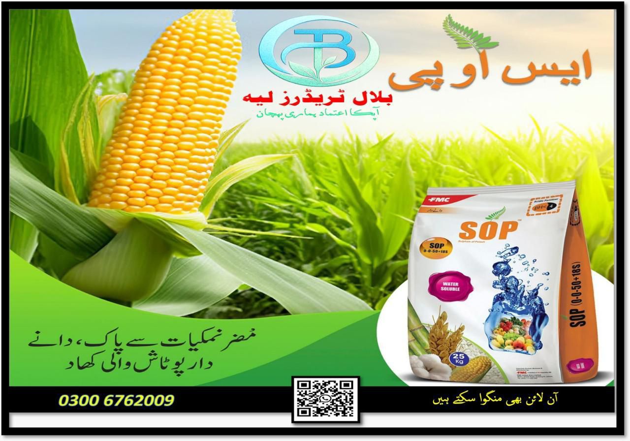 Bilal Traders Railway Road Layyah | Layyah
