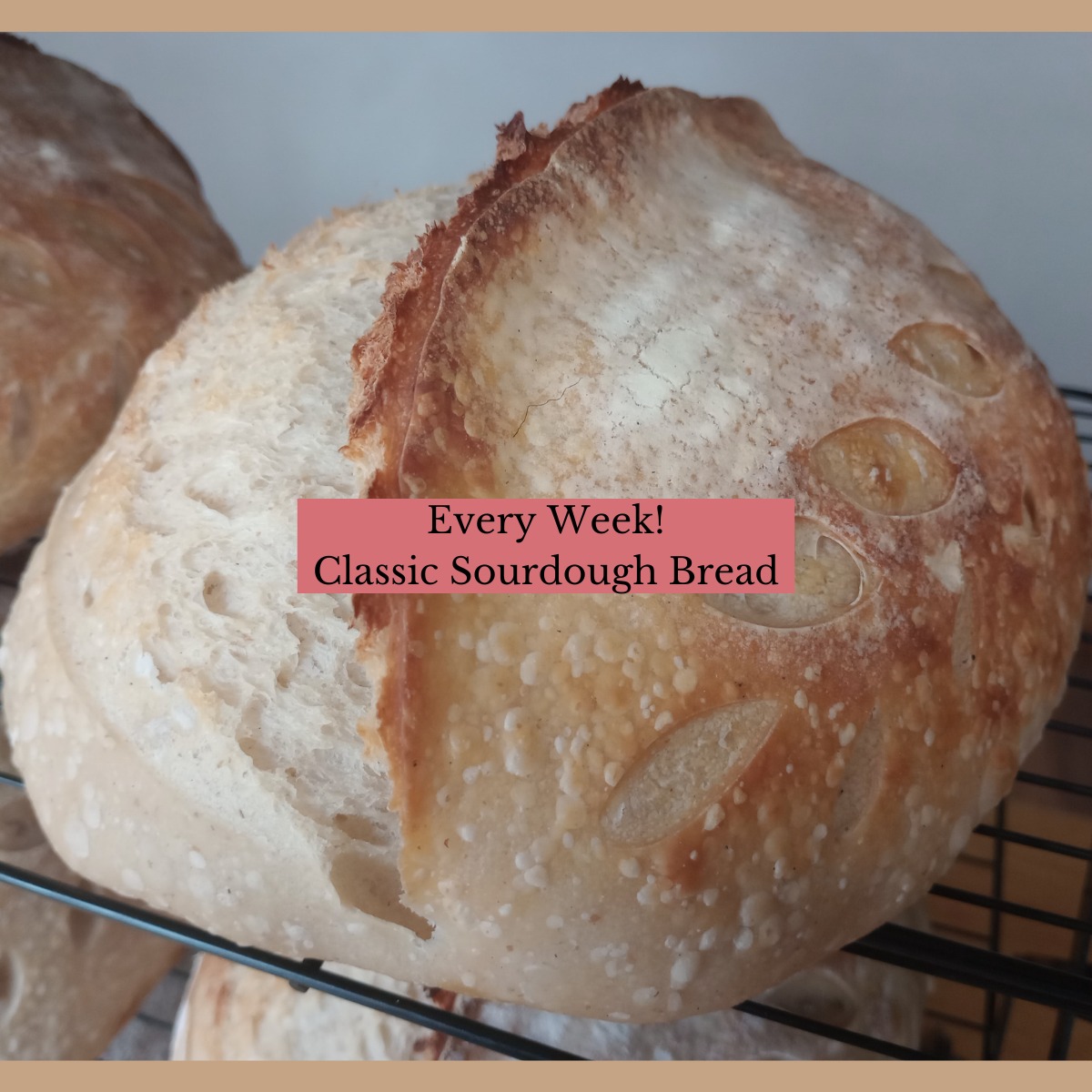 Rustic Bloom Bakery | Sidney NE
