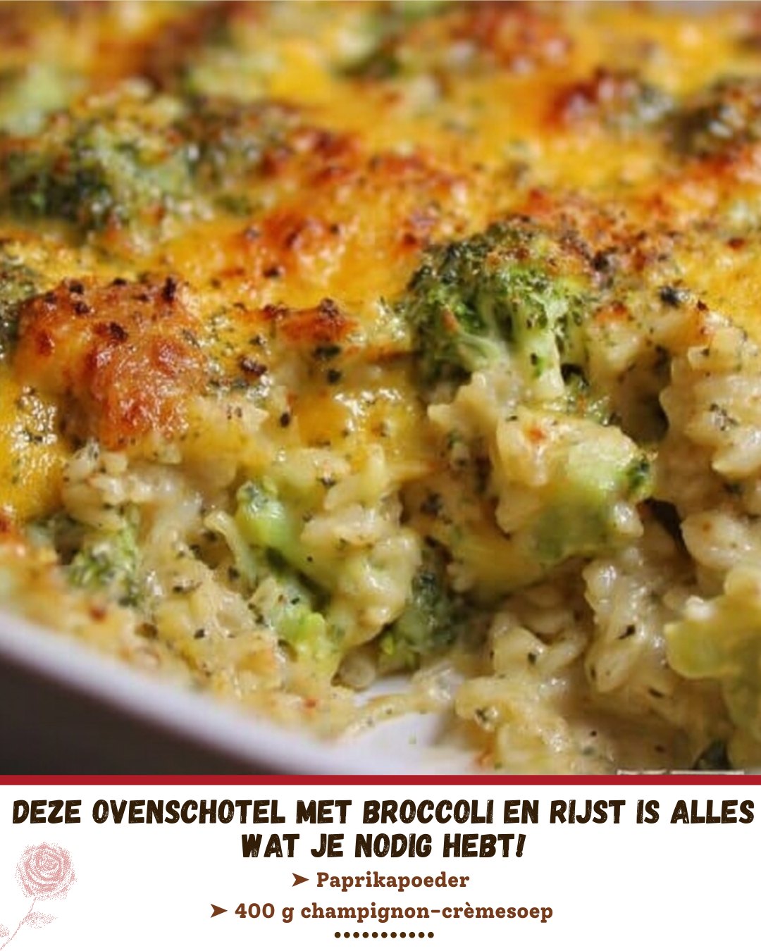 Lekkerij - Deze ovenschotel met broccoli en rijst is alles wat je nodig ...