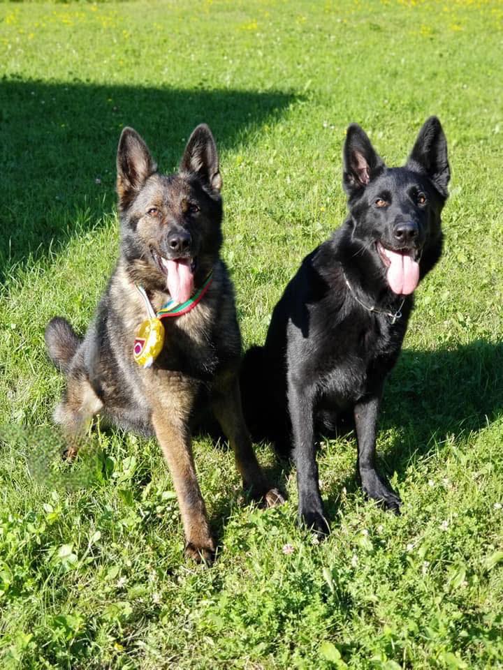 Dynamic K9 | Waubun MN