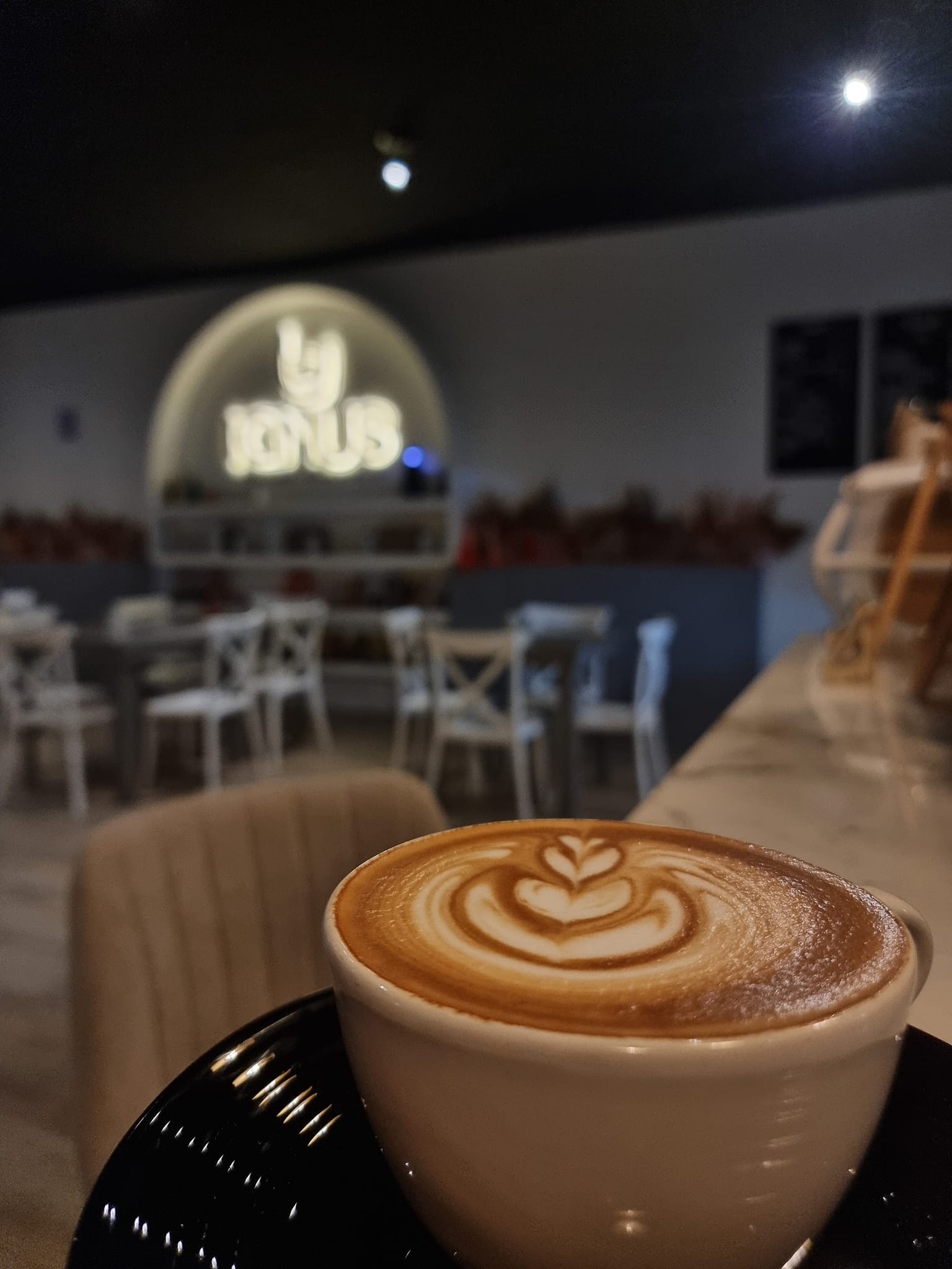 Ignus Coffee Roasters | Ciudad del Carmen