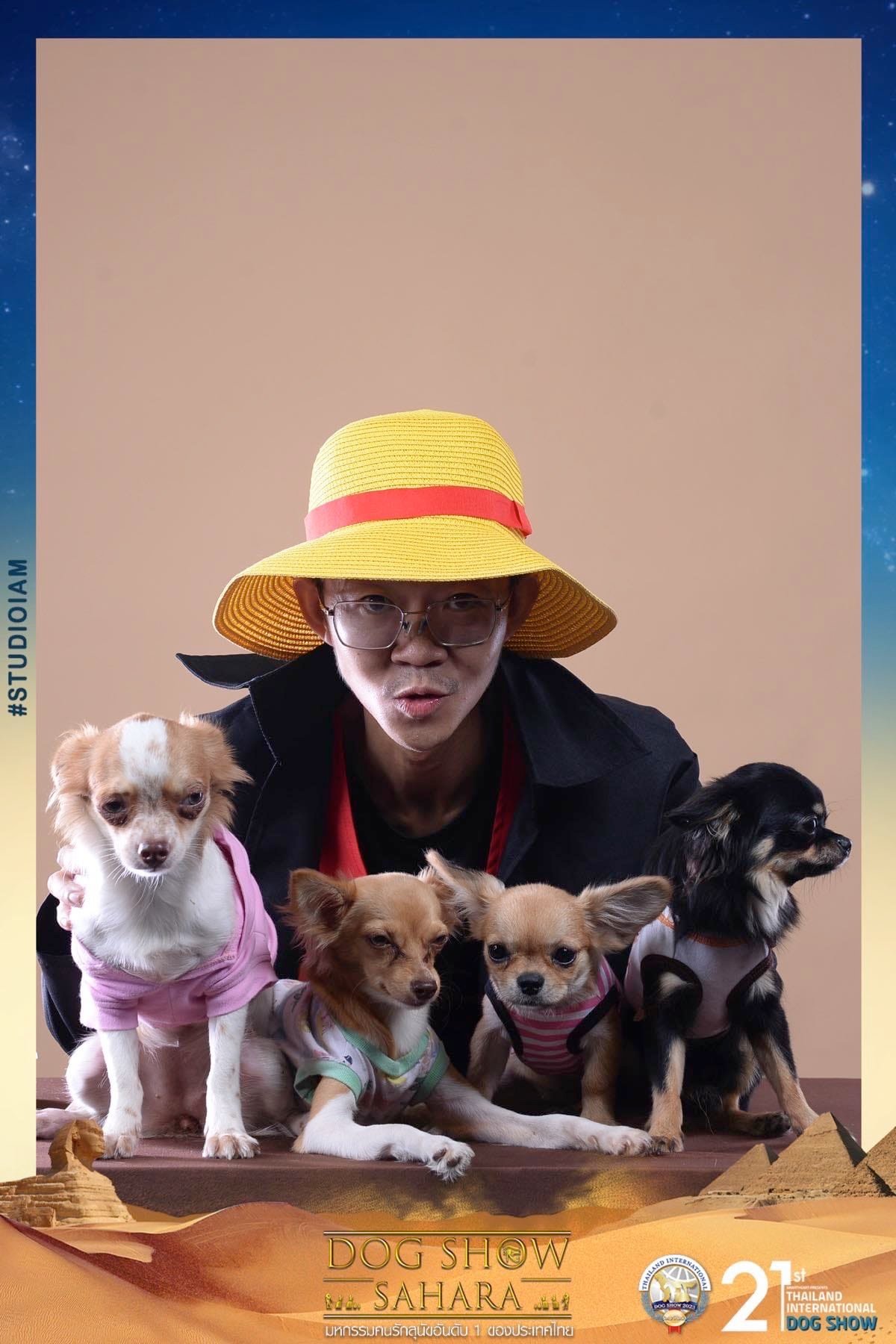 Gang Of Chiwawa