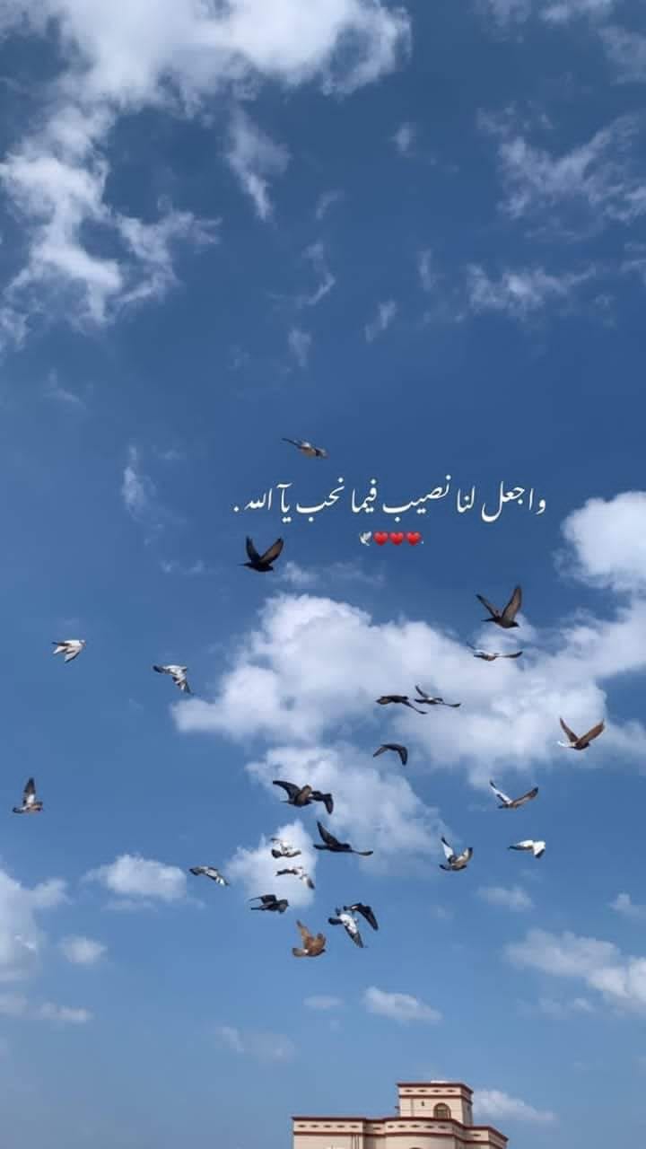 Mohammed Rady