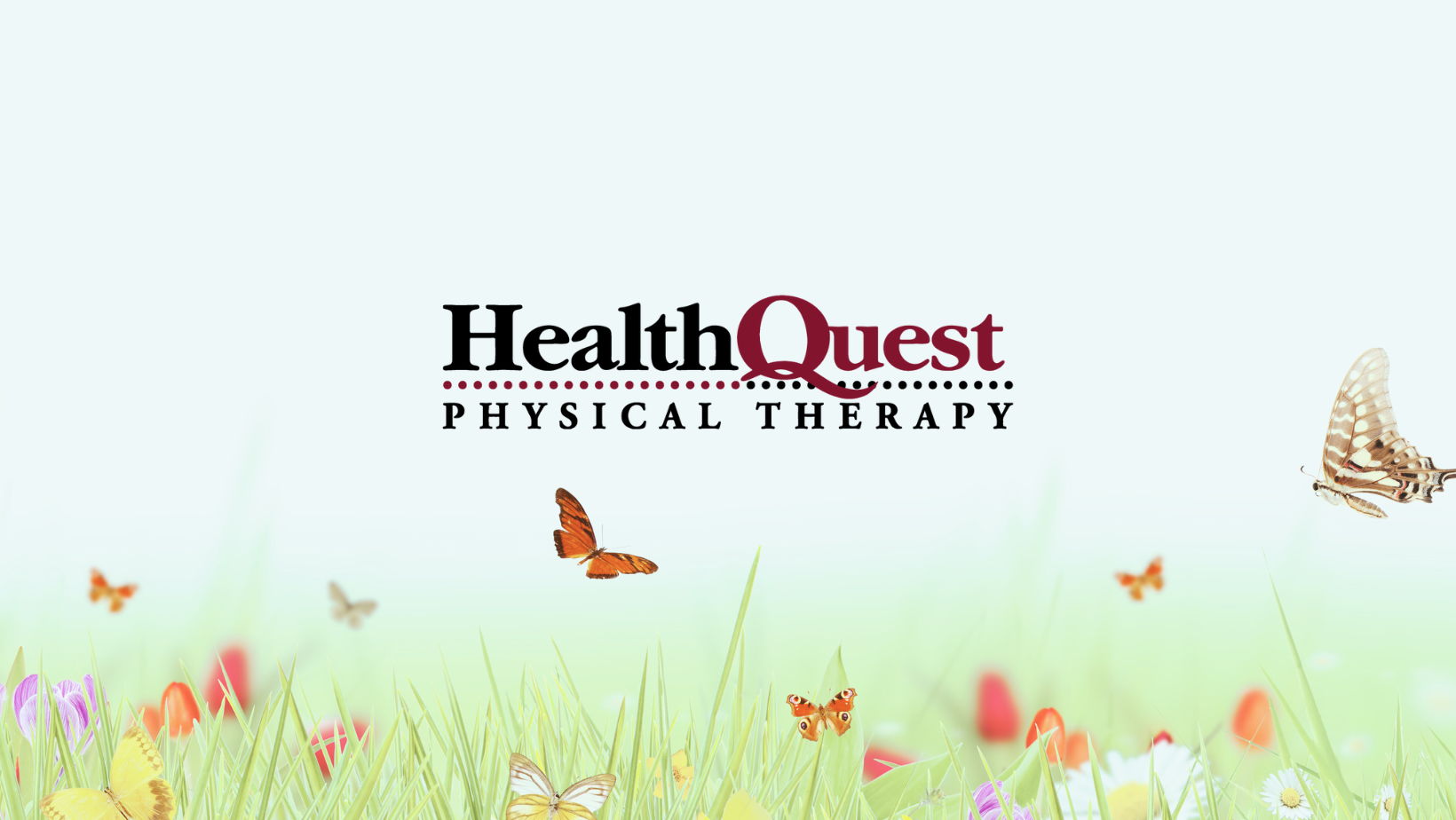 HealthQuest Physical Therapy