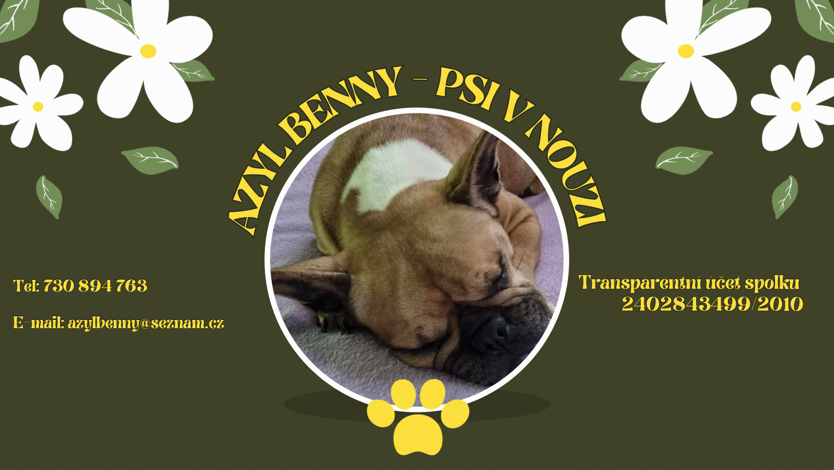 Azyl Benny - psi v nouzi, z.s. | Olomouc