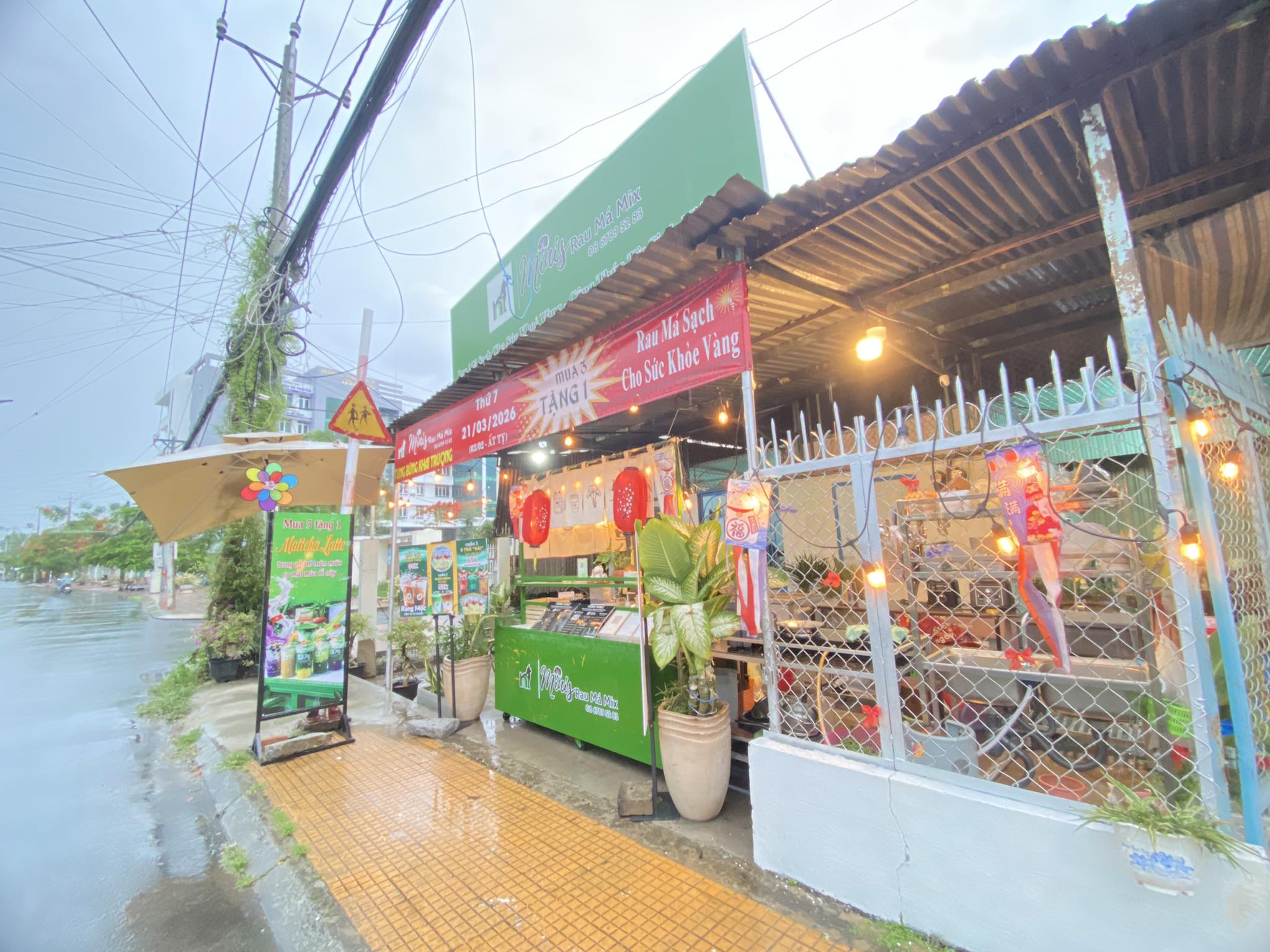 Y Sinh Farm Cao Lãnh CN2 - Rau Má Thuỷ Canh Sạch & Lành | Cao Lãnh