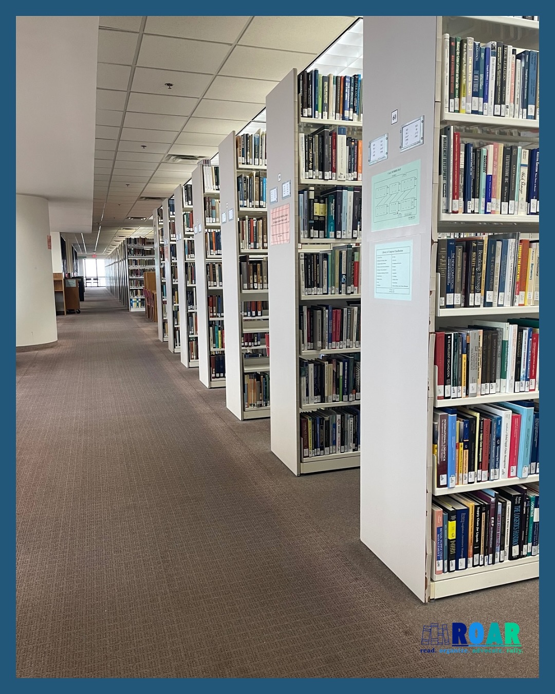 ROAR 4 Libraries