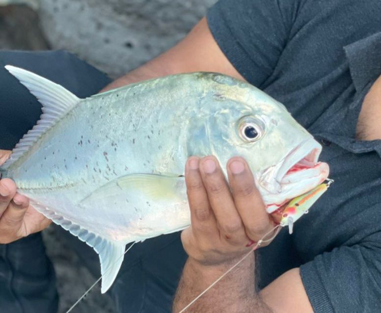 REEF Rascal