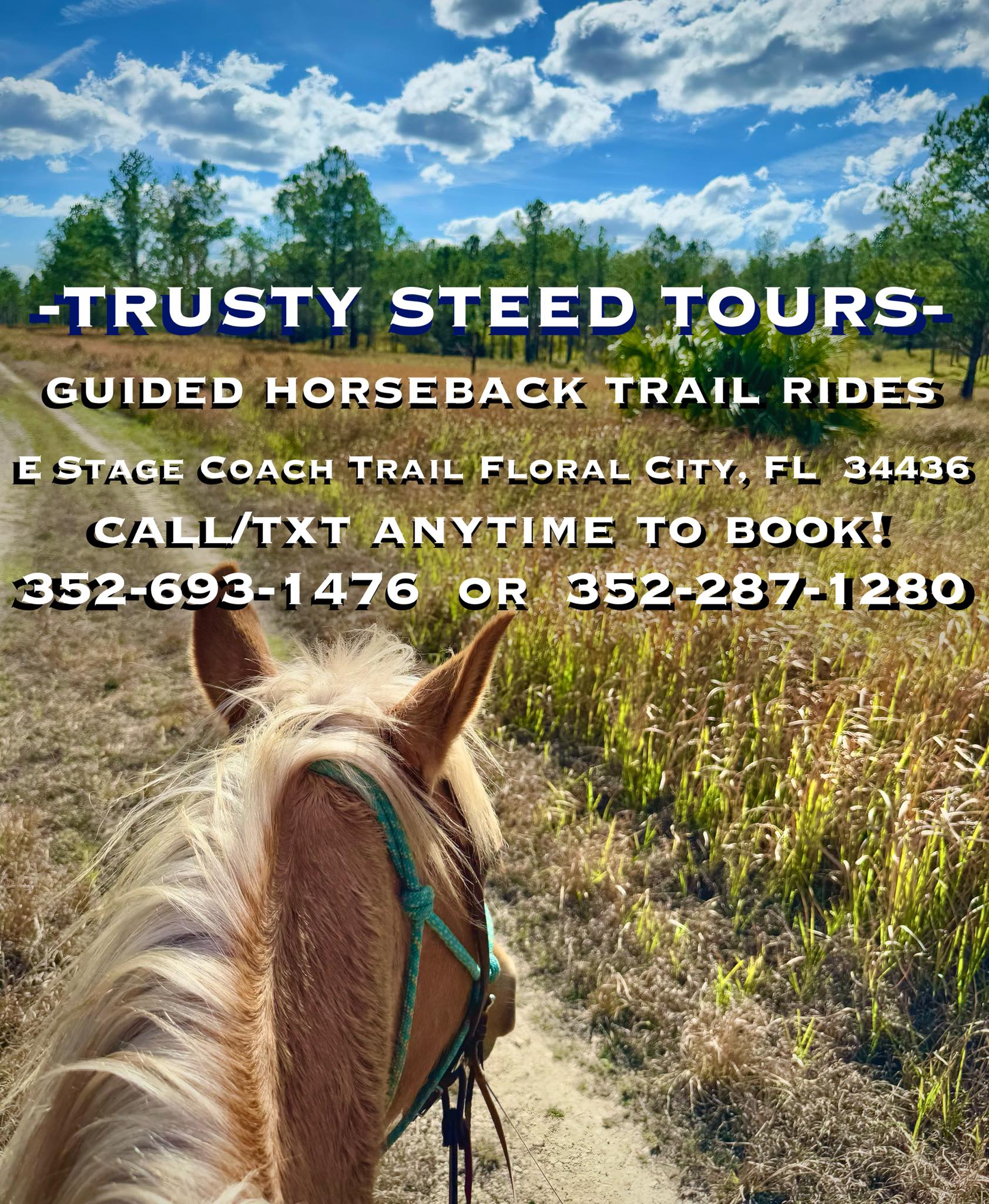 Trusty Steed Trail Rides | Ocala FL