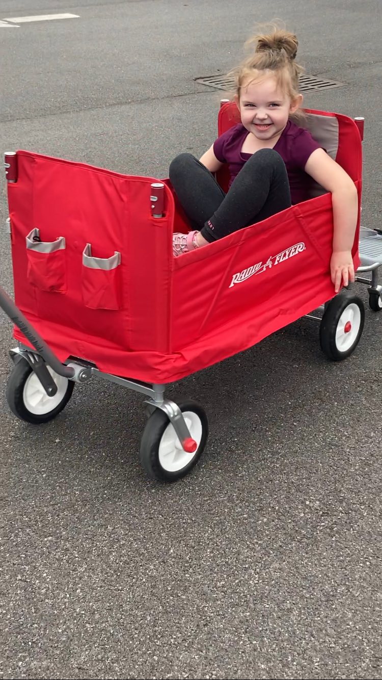 quality umbrella stroller Kolcraft Cloud Plus Lightweight for Toddlers with Reclining Seat, Large Storage Basket, Canopy, Infant & Parent Trays, Compact Fold for Summer Travel, Durable Frame, Slate Gray : Baby Vera Bradley NFL Small clean fabric 2026Omnipod Size:S (56 cm)