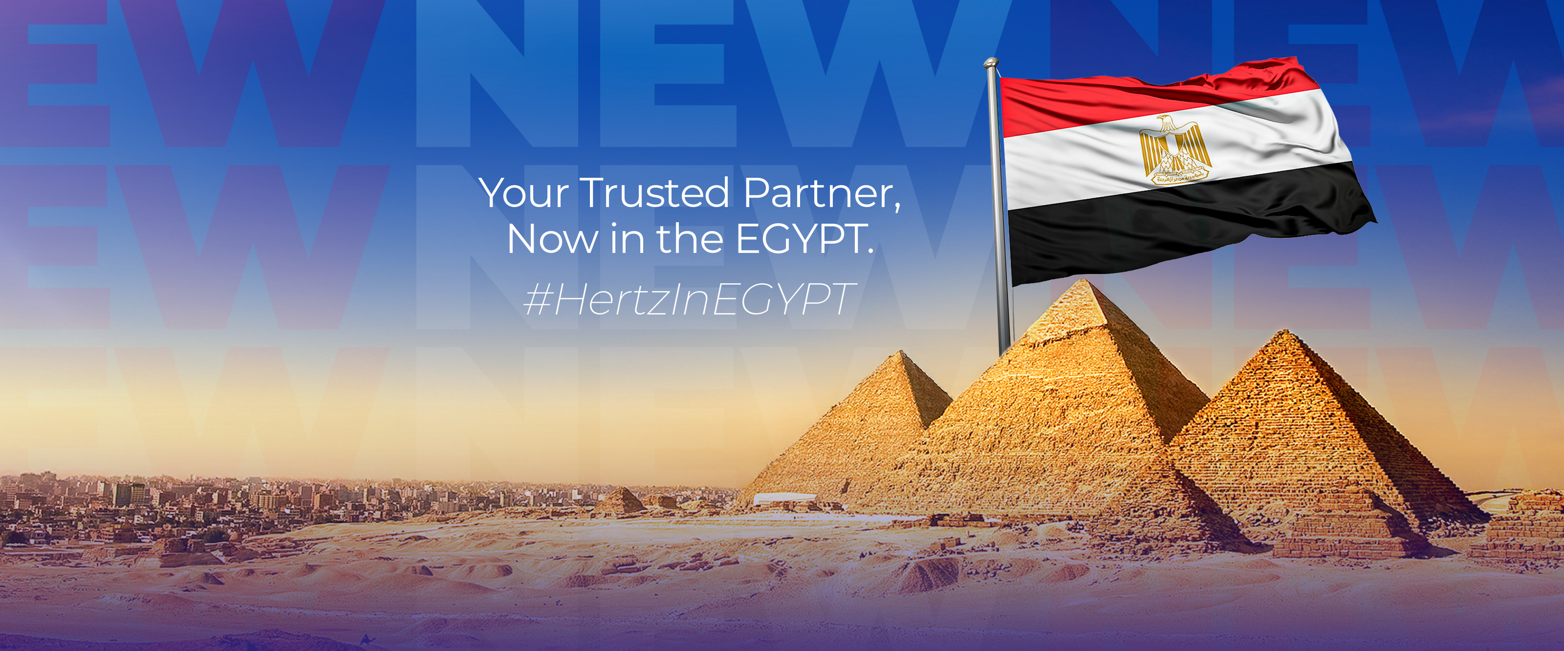 Hamza group حمزه جروب للتنميه والاستثمار الزراعى - #دورسيل🌾 مبيد حشرى ...