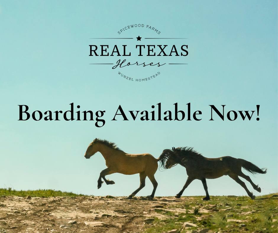 Real Texas Horses at Spicewood Farms | Spicewood TX