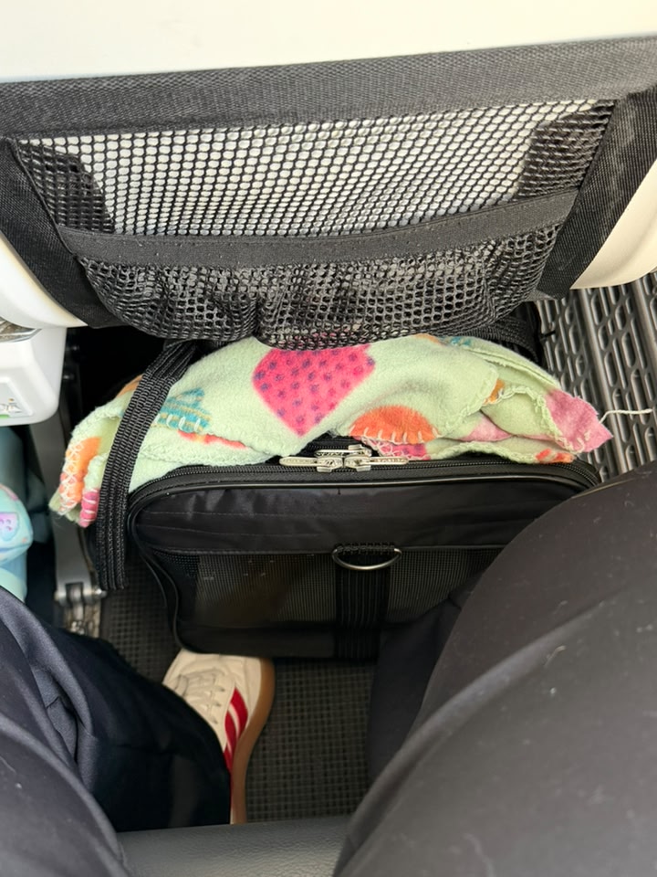 piccolo chicco stroller Lightweight and compact stroller talking moose... Richard Orlinski Color:Sniper Black