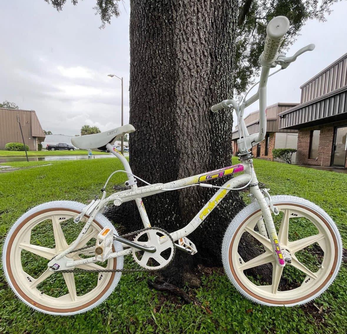 1991 splash gt performer, purple washer nut. Barely ridden $1100