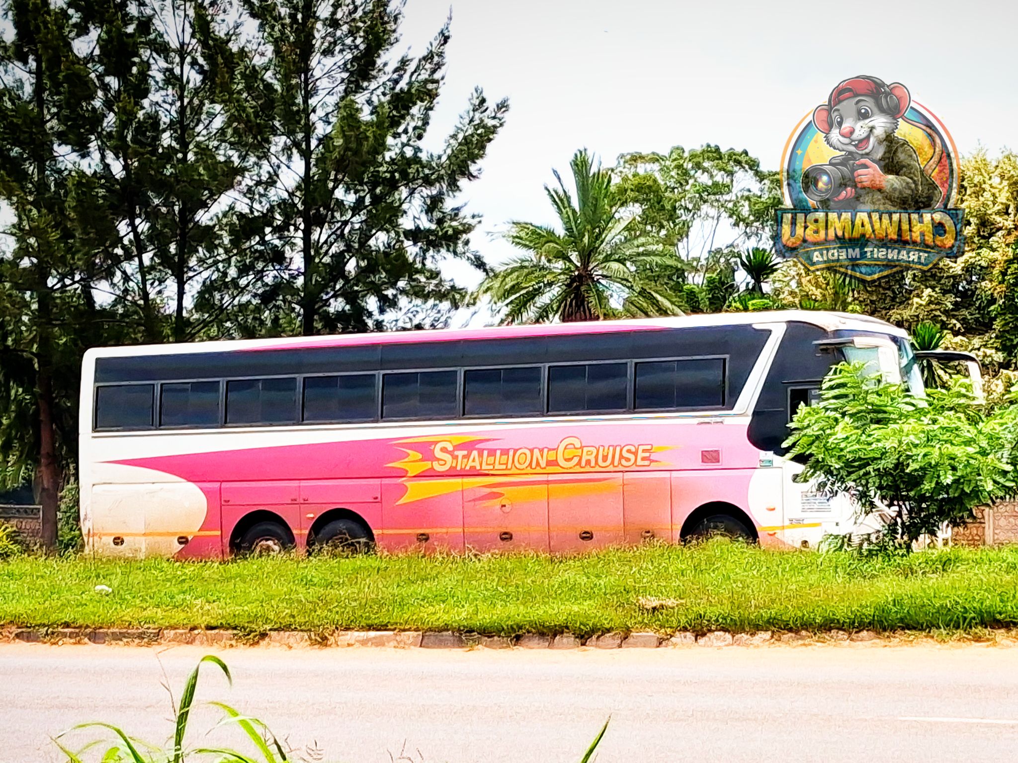 Chiwambu - 🚌 Afternoon Arrival in the Sunshine City ☀️ Spotted: The ...