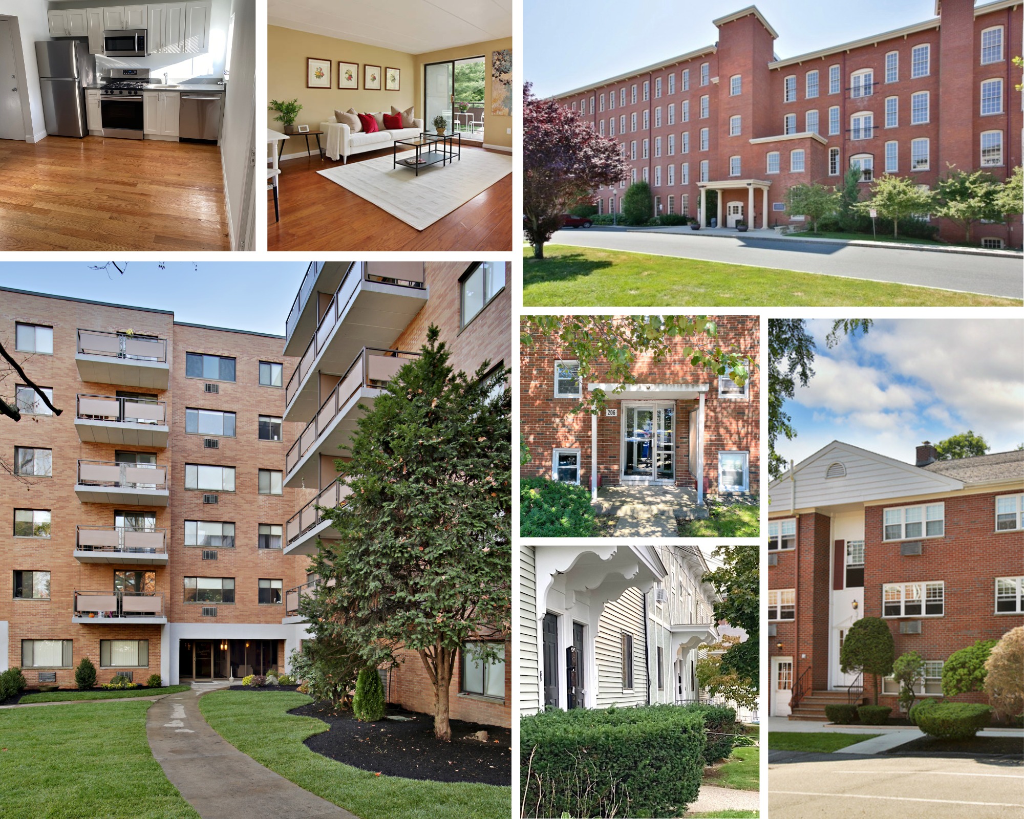Rincon Management, LLC | Newton MA