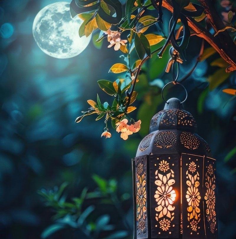Sometimes, even a small, blurry glimpse of a shadow is enough to ...