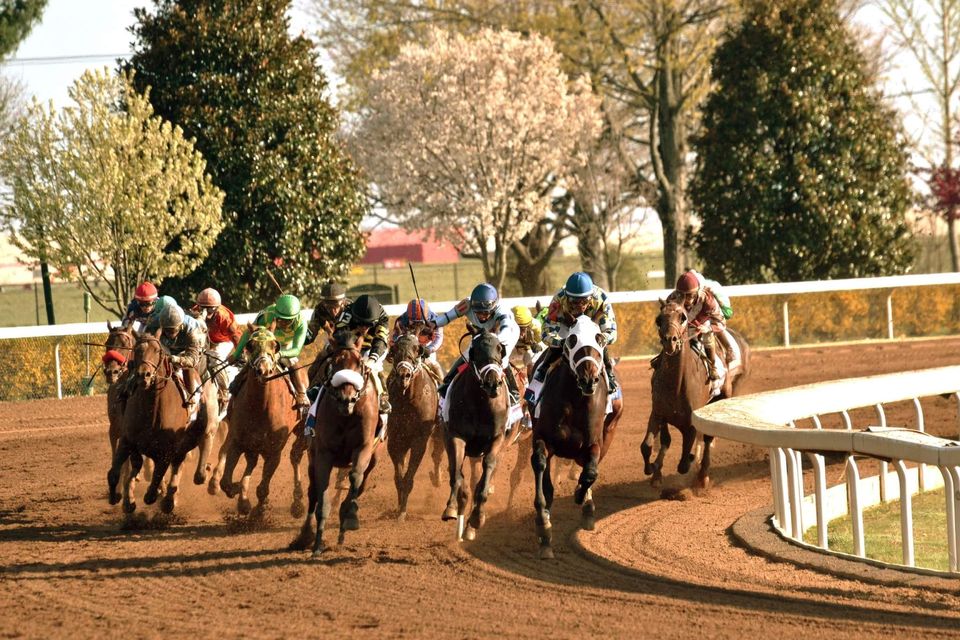 LIVE🛑 Horse Racing Today | Facebook