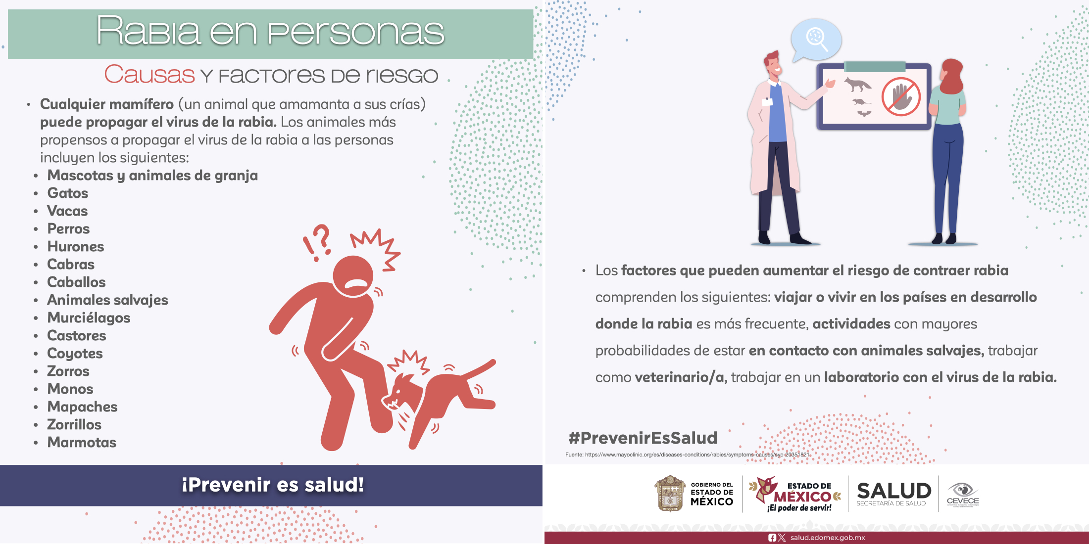 Rabia en personas La rabia se transmite por la mordedura de algunos ...