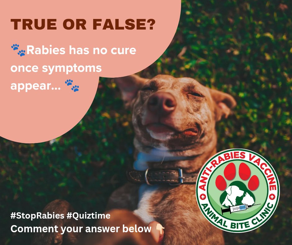 🐾 TRUE or FALSE: Rabies has no... - ARV Animal Bite Clinic | Facebook
