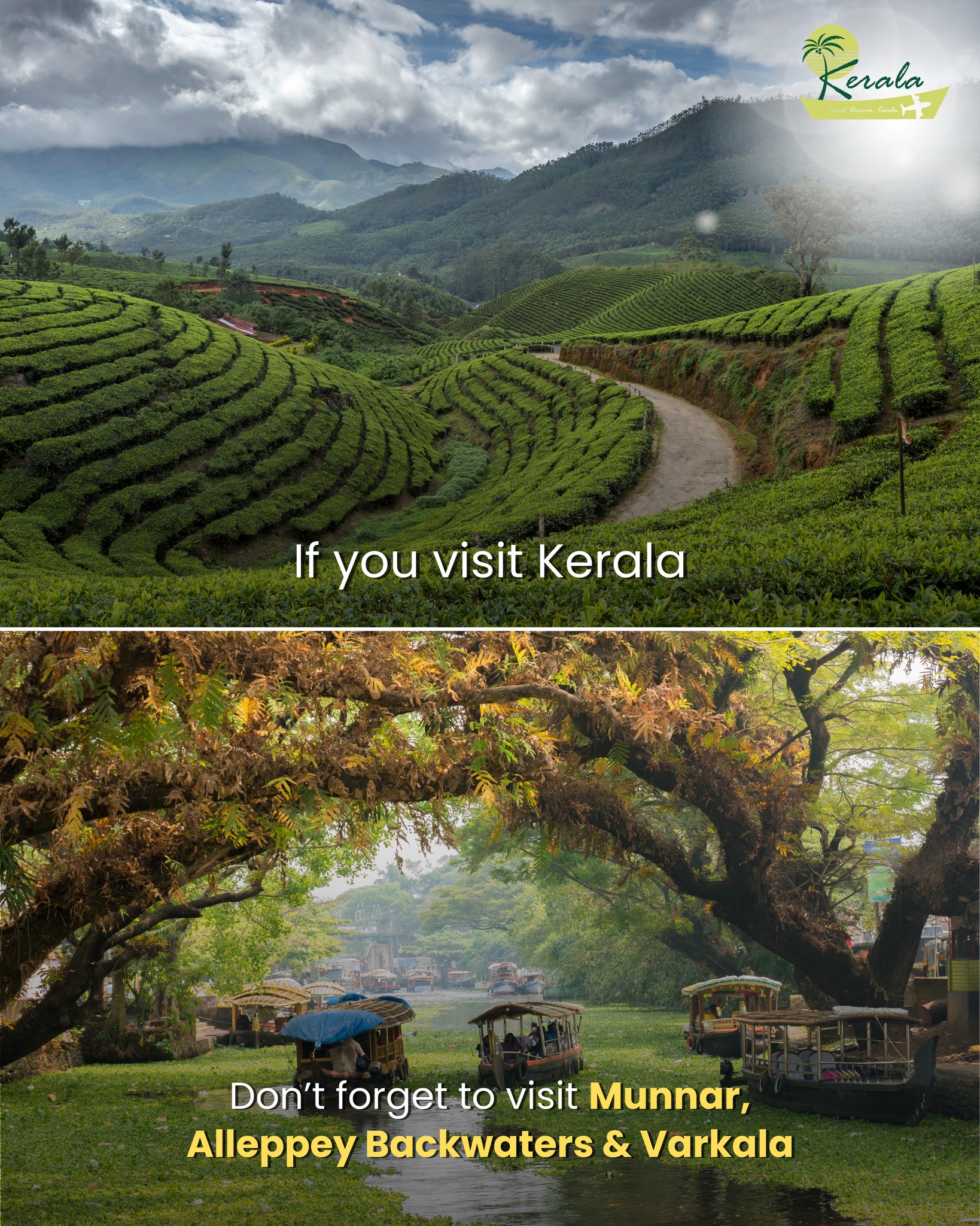 Kerala - 🌿 If you visit Kerala… Let the tea gardens of Munnar calm your ...