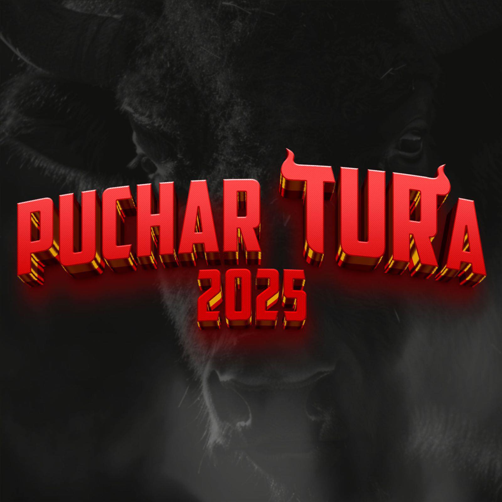 Puchar Tura - 💪 MG Mecen Grupa wspiera nas od lat! To... | Facebook