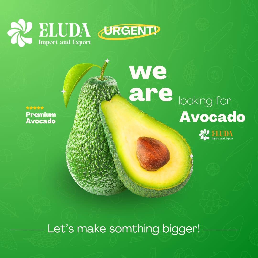 Eluda Import and Export | Guangzhou