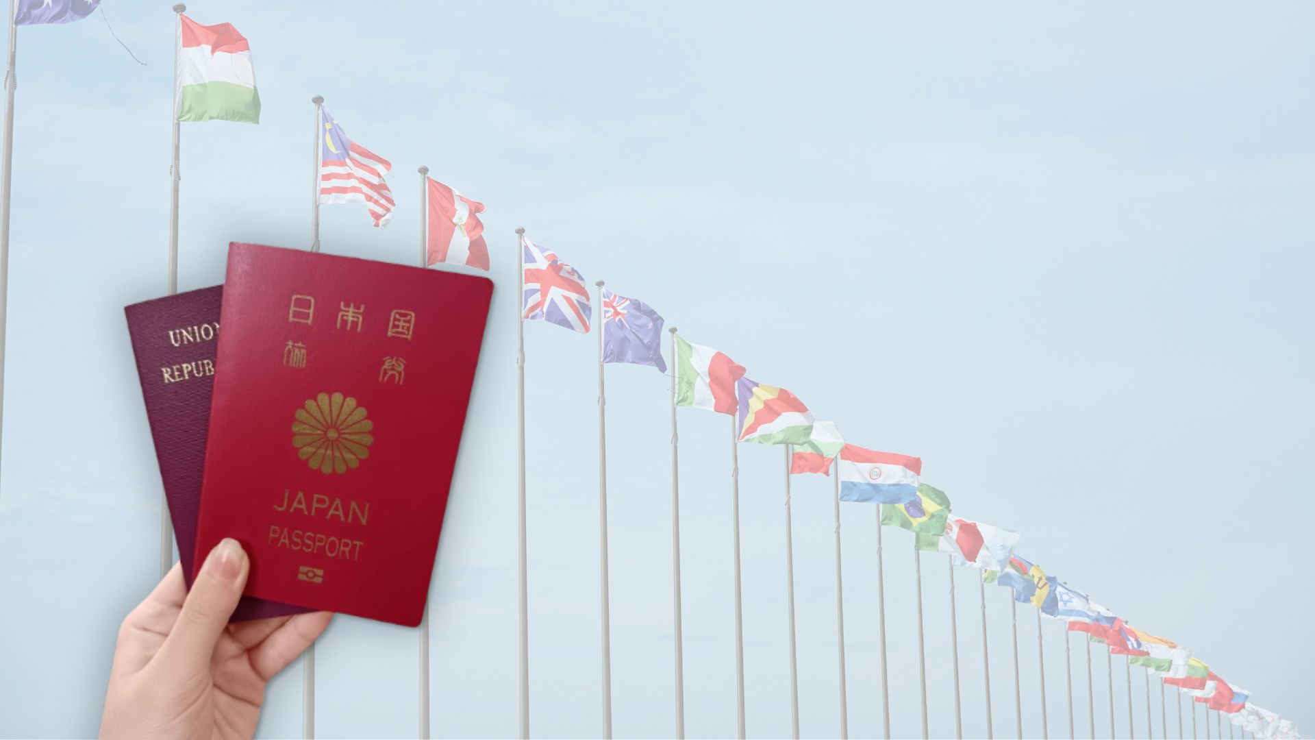 YLS 国籍選択制度の改正を目指す国籍法研究会