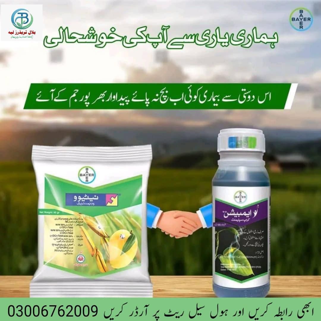 Bilal Traders Railway Road Layyah | Layyah