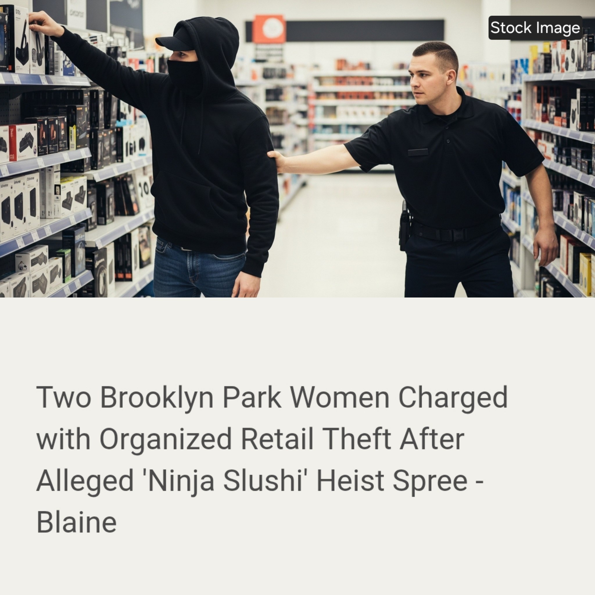 Anoka - Two Brooklyn Park Women Charged with Organized Retail Theft ...