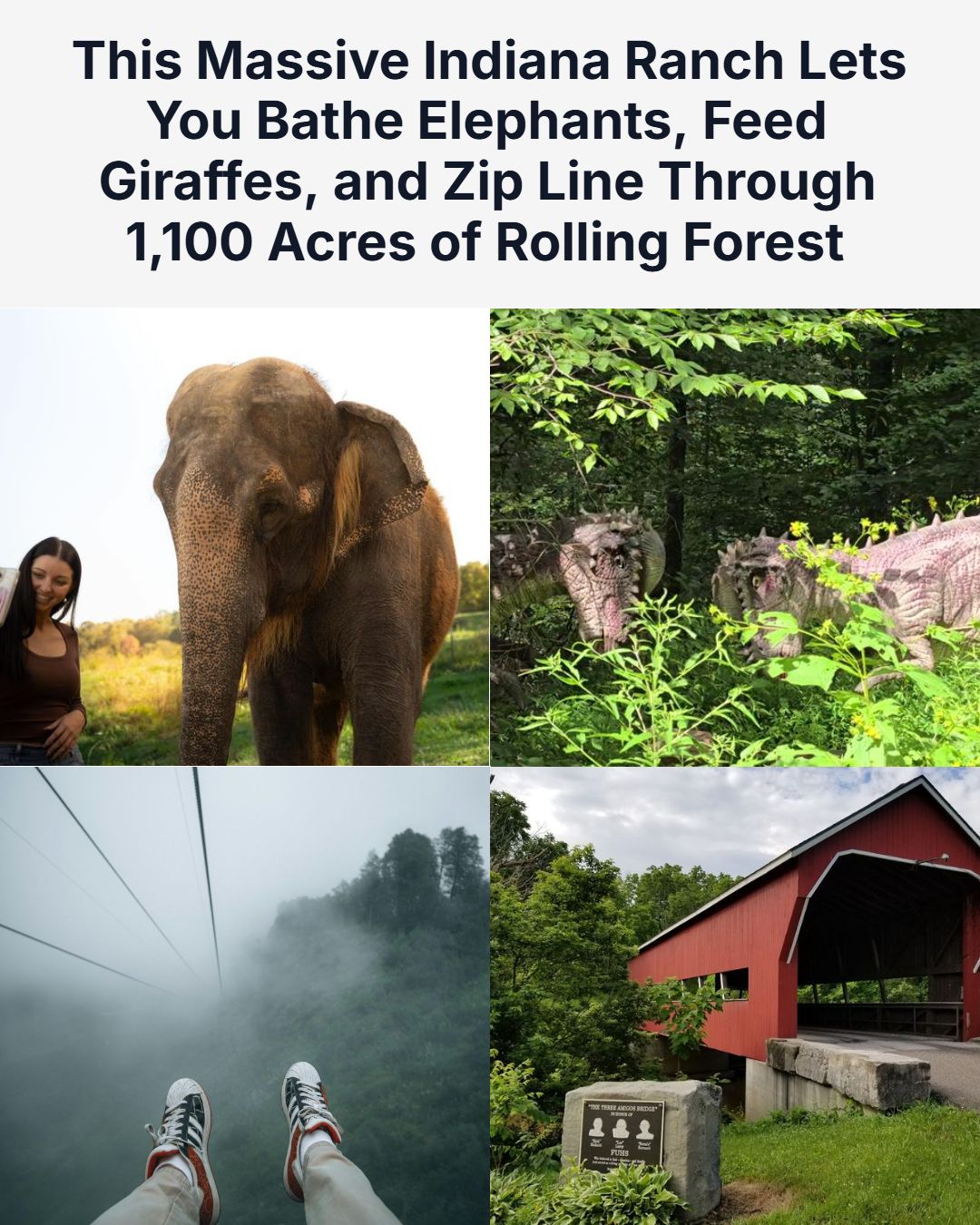Explore Indiana - Elephants in the bathtub? Check.... | Facebook