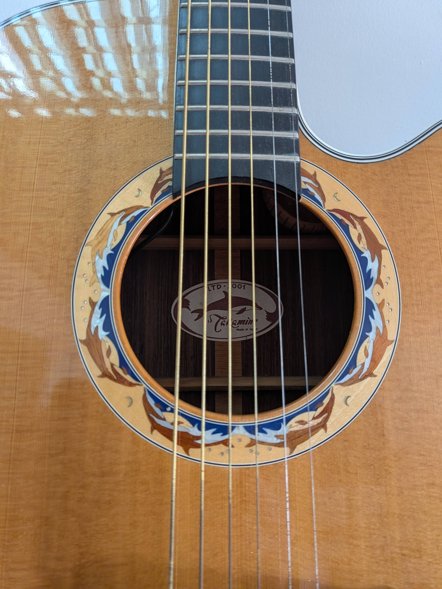 What causes electronics failure in older Takamine acoustic guitars?