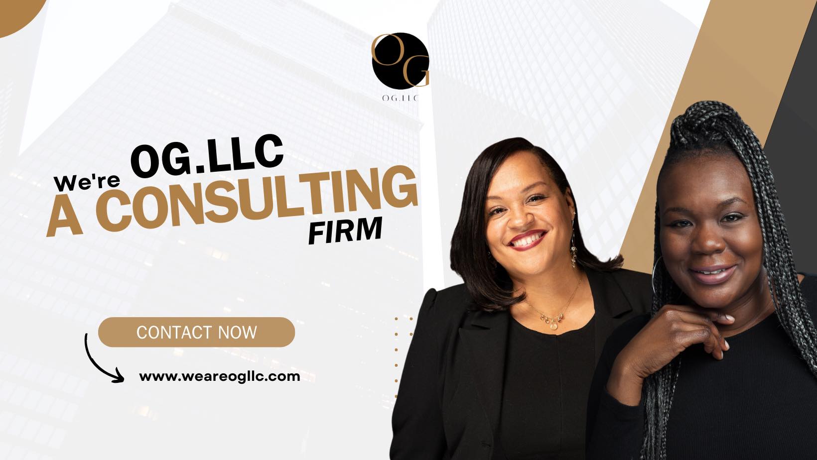 OG.LLC - A Consulting Firm