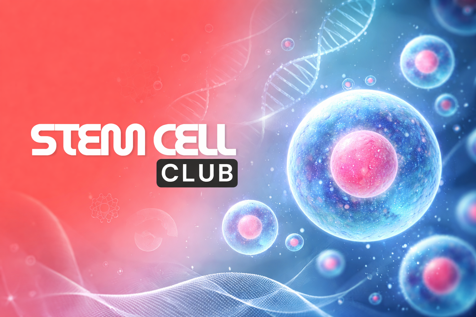 Stem Cell Club