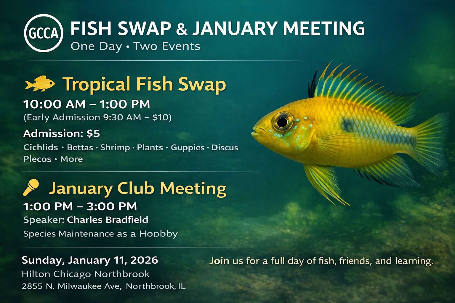 J4 Aquatics - See u at Greater Chicago Cichlid Association... | Facebook