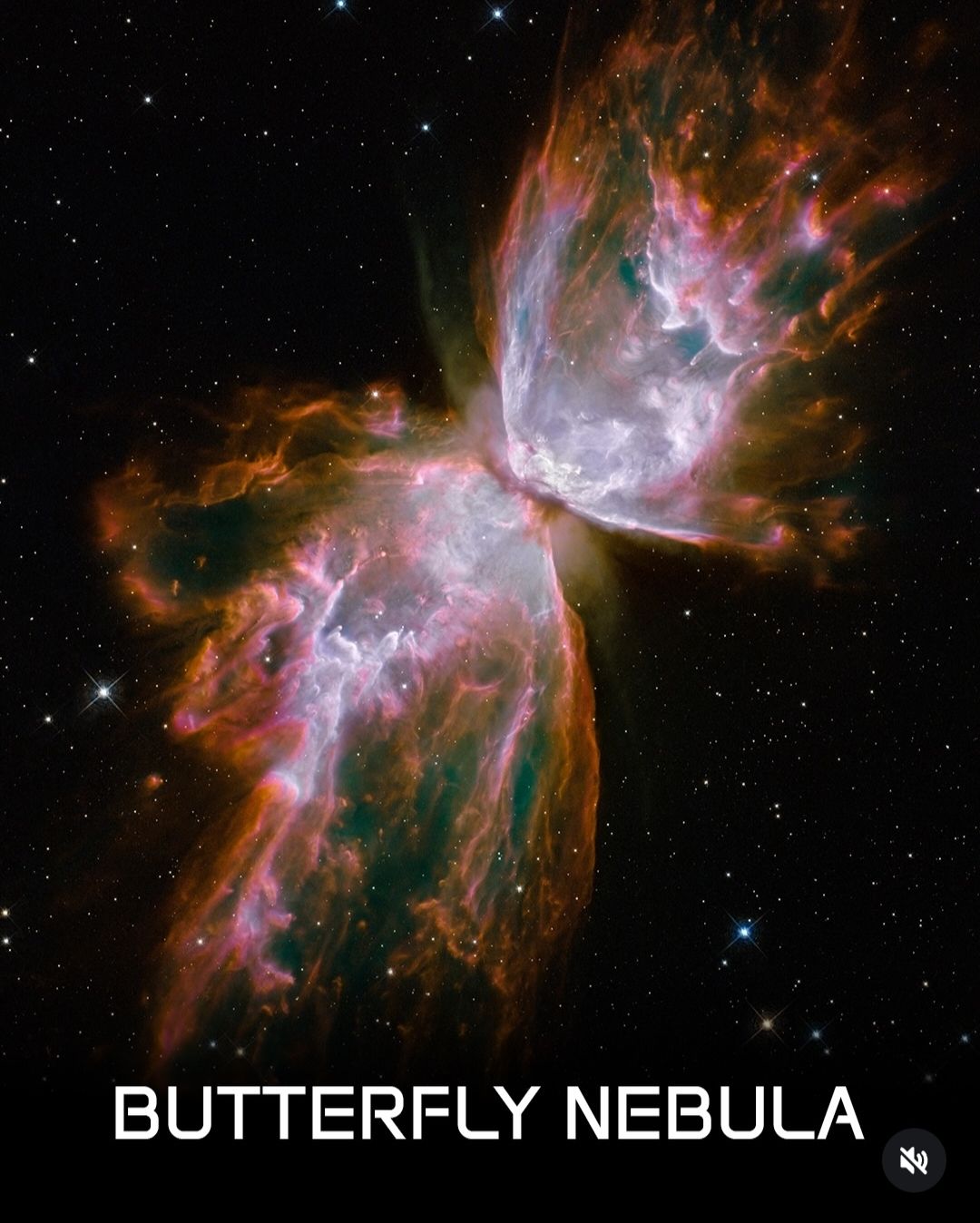 新品atlantic stars SCORPIUS 42 Butterfly nebula in scorpius constellation