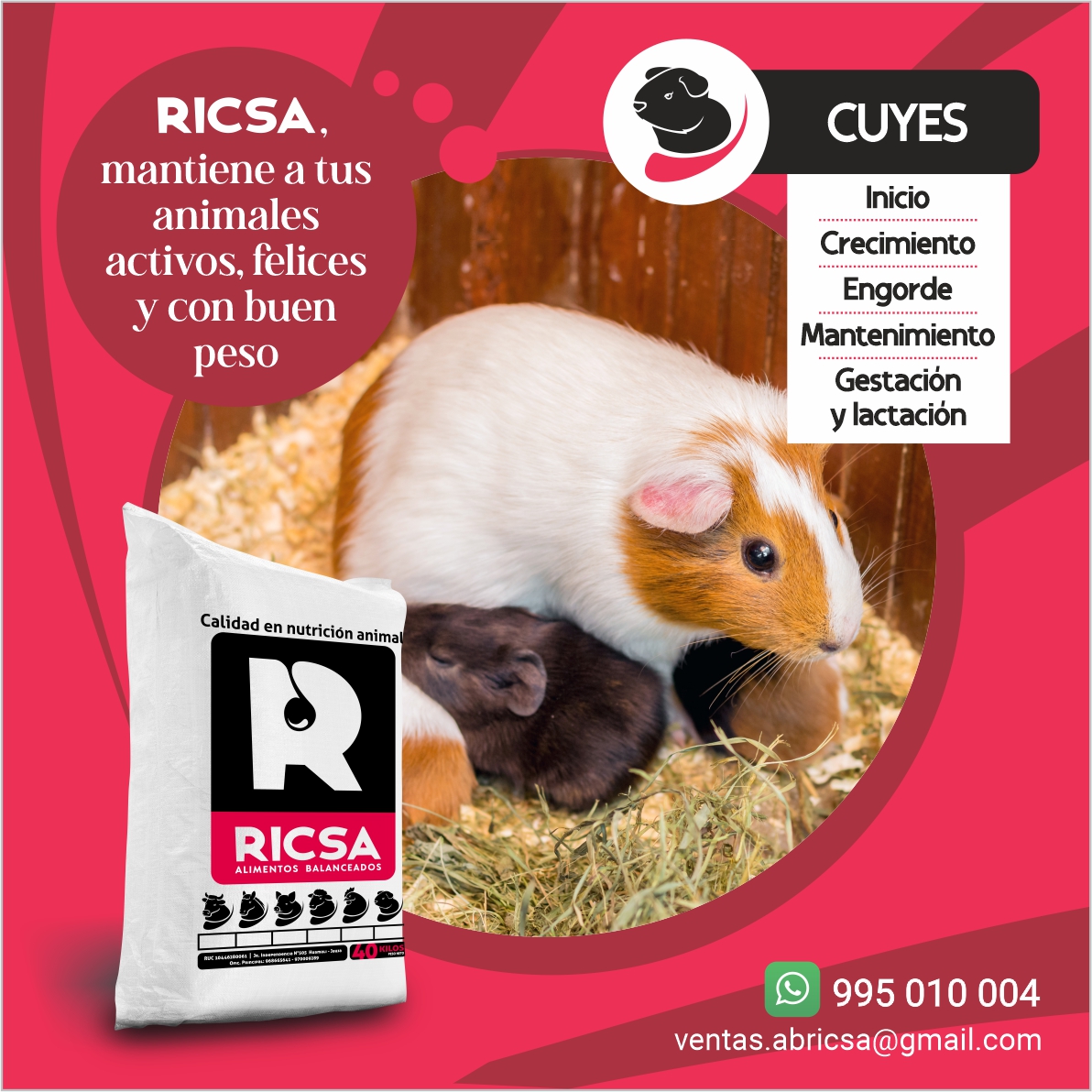 RICSA Alimentos Balanceados