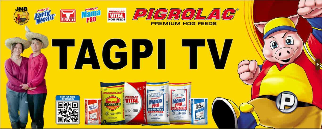 Princess Bea Premium... - Princess Bea Premium Rice Davao