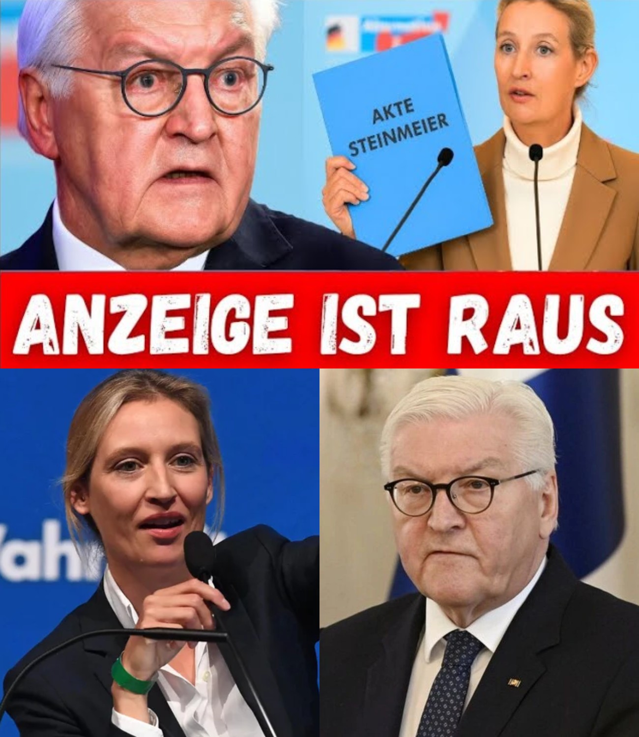 welt-a-political-declaration-of-bankruptcy-alice-weidel-claims-to