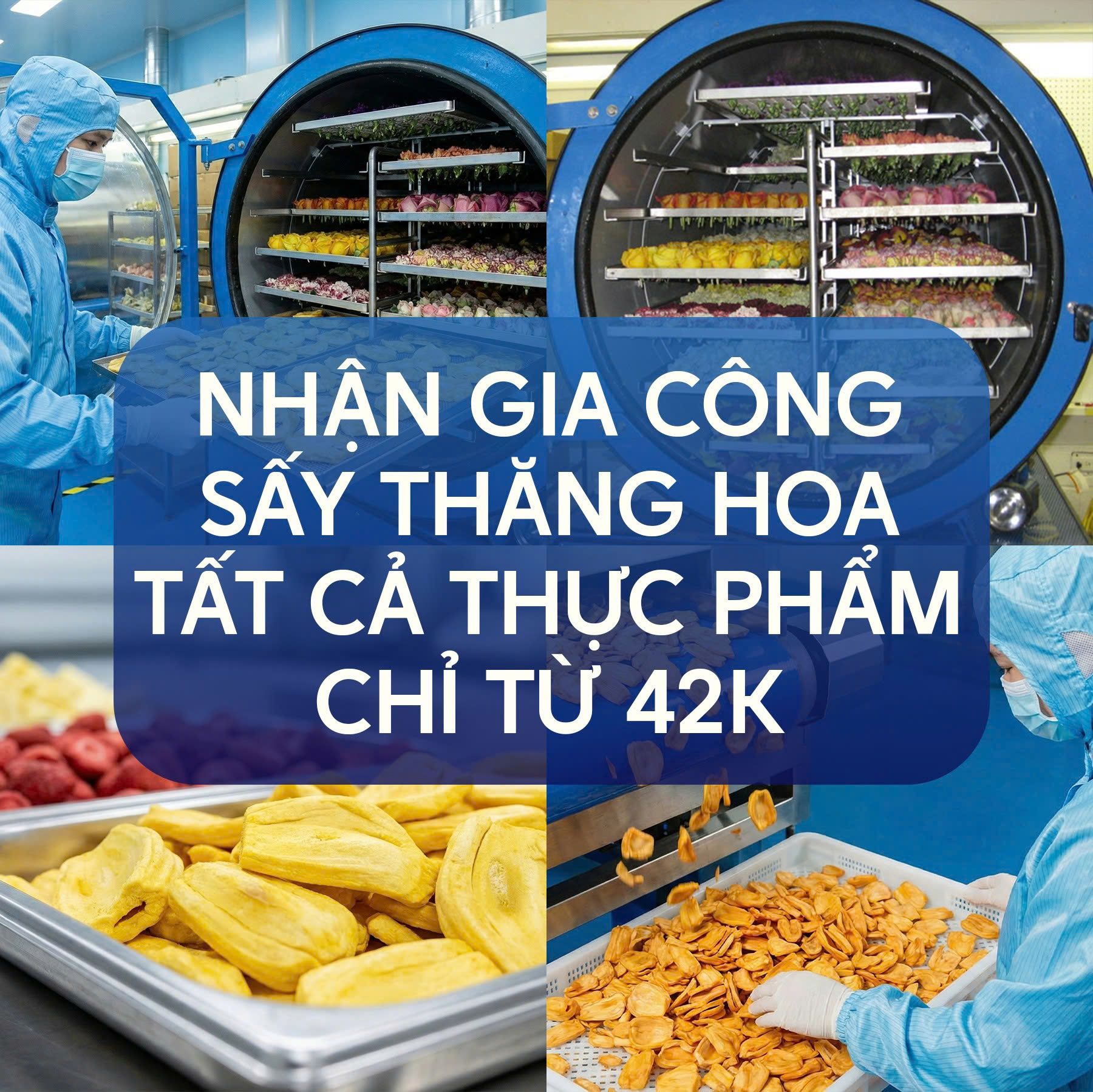 V•Labs - Nhà Máy Công Nghệ Thực Phẩm Xanh