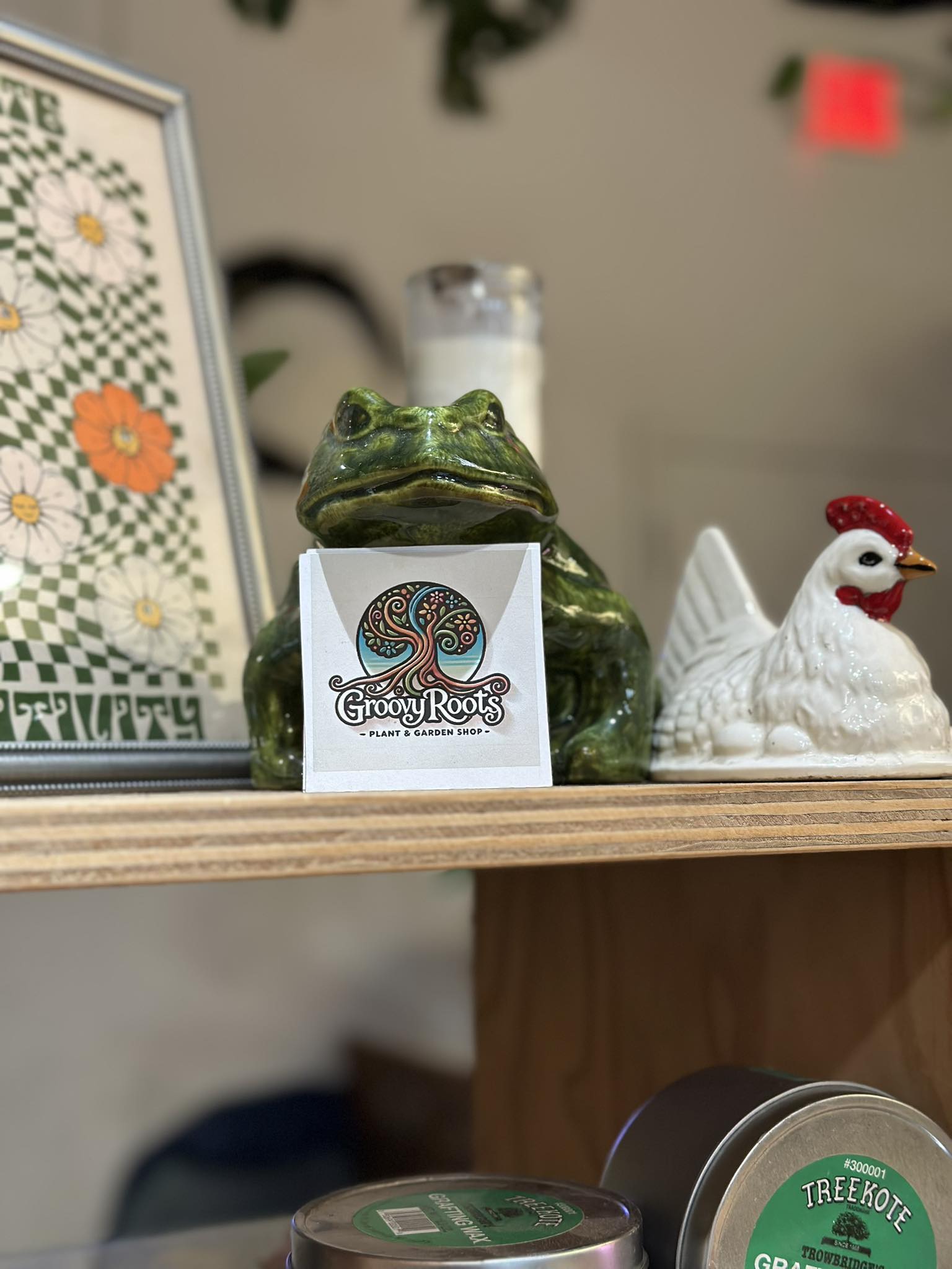 Groovy Roots | Jackson TN