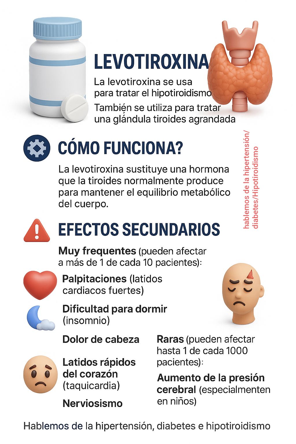 l-carnitina efectos secundarios y tiroides 💜 Endocrinología BPC-157 Peptide | USA