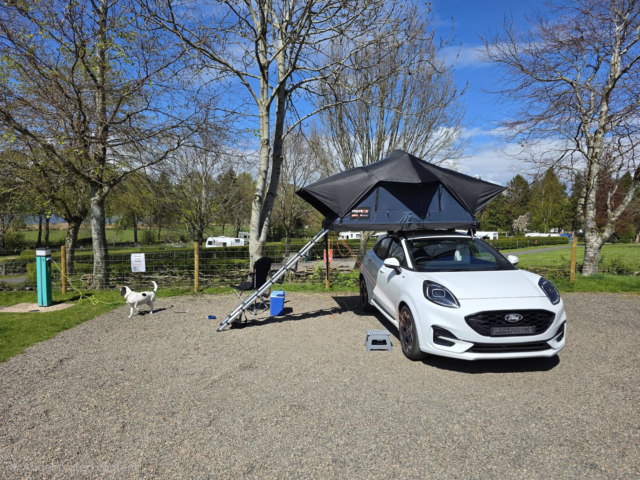 tent lift Prime Tech Roof 2.0 for roof boxes, load capacity up to 150 kg, lifting height up to 240 cm Automotive shifter hoodie 2.4 self KlickFix Micro 100 Saddlebag Color:Yellow/Copper/White